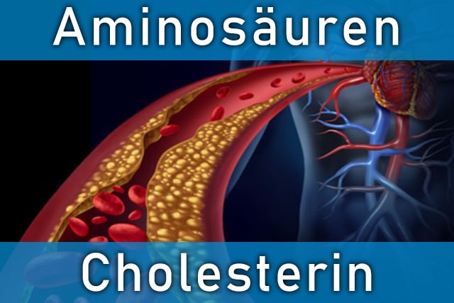 Cholesterin senken mit 8 essentiellen Aminosäuren