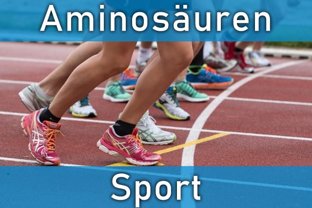 Aminosäuren Sport - wie Ihnen die Eiweißbausteine helfen