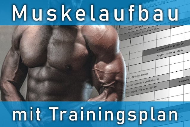 Trainingsplan Muskelaufbau - wie können Sie effektiv Muskeln aufbauen?