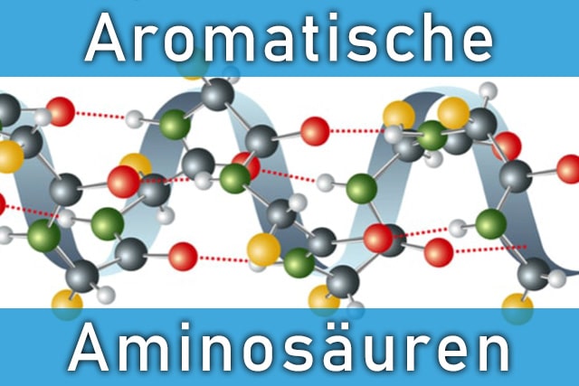 Aromatische Aminosäuren - Beschreibung und Wirkung der Eiweißbausteine