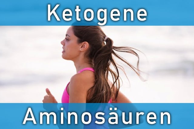 Ketogene Aminosäuren in unserer Ernährung