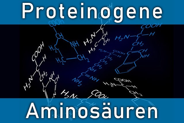 Was sind Proteinogene Aminosäuren?