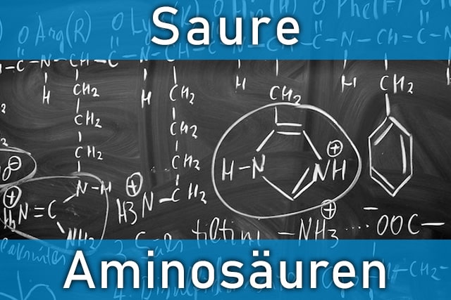 Saure und basische Aminosäuren - das sollten Sie wissen