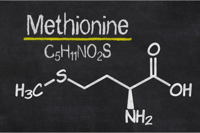 Methionin gehört zu den schwefelhaltigen Aminosäuren