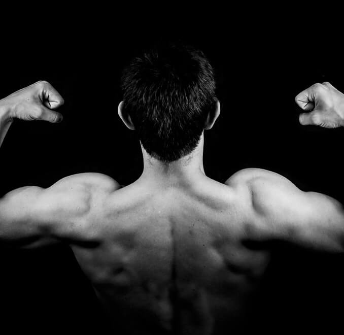 Muskeltraining und die richtige Ernährung 2 Phasen zur Abnahme und zum Muskelaufbau